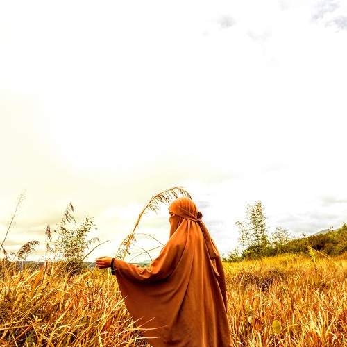 Photo #5697802