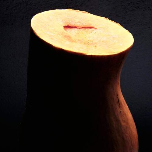 Photo #5697875