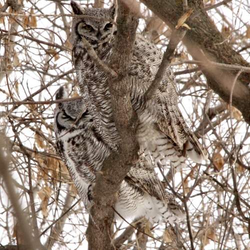 Having a nap