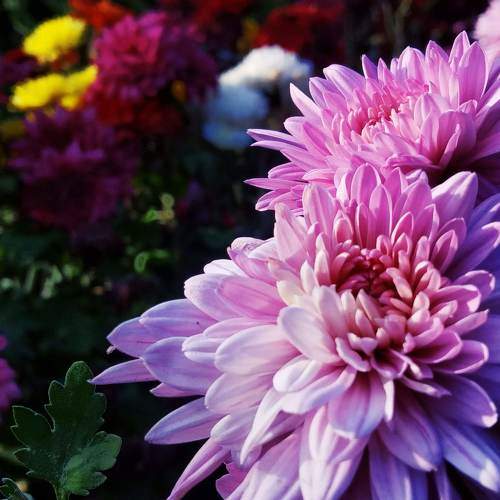 Photo #5698380
