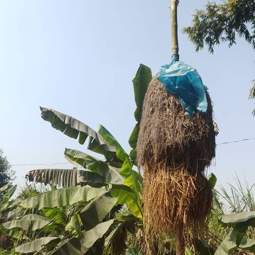 Photo #5698734