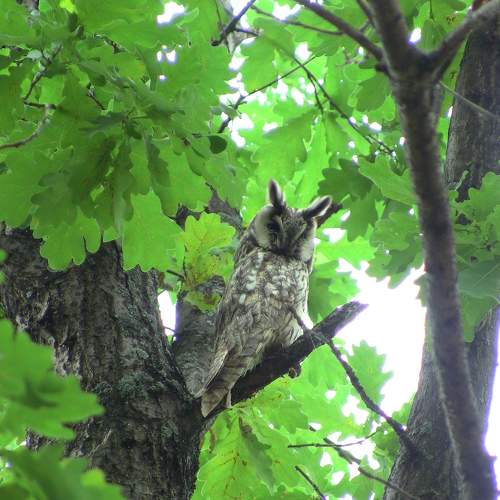 Photo #5698958