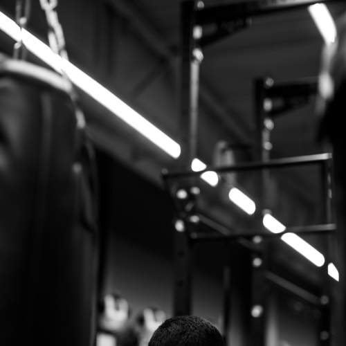 Photo #5699393