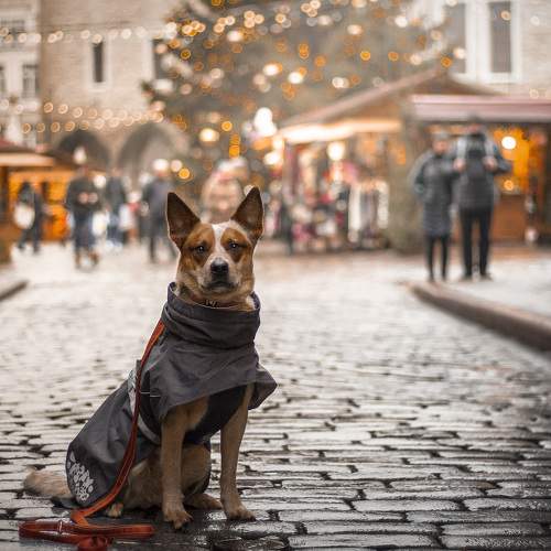 Photo #5699503
