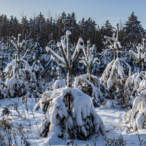 Photo #5700050