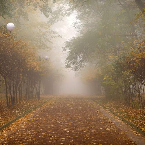 Photo #5700118