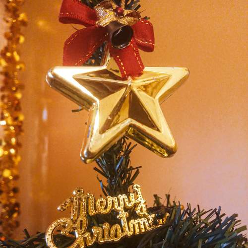 Photo #5700255