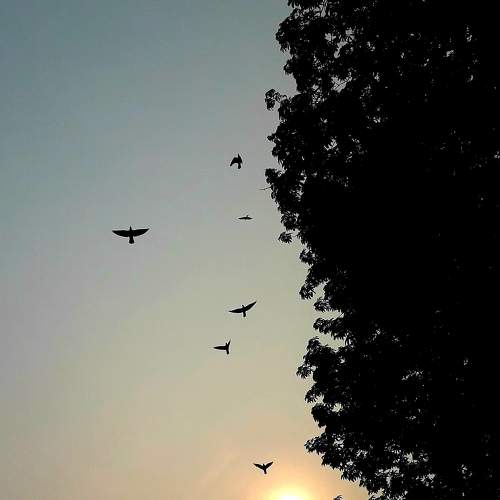 Photo #5700927