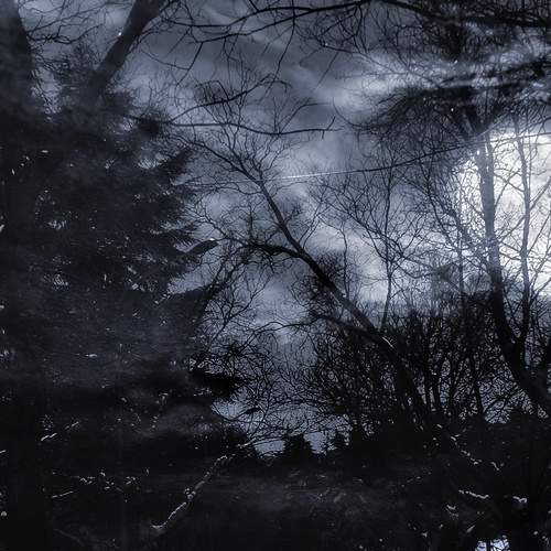 Photo #5700988
