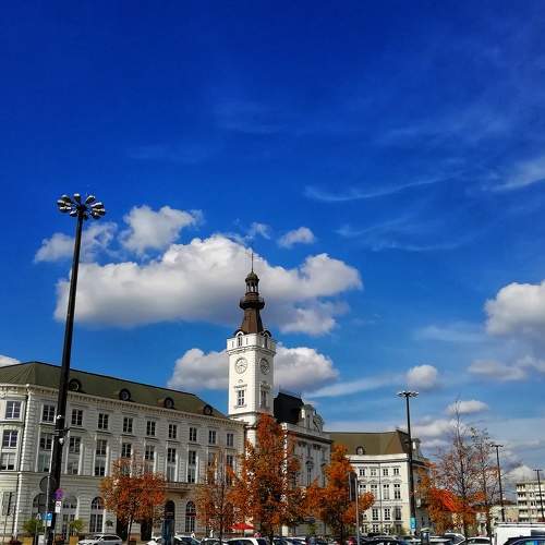 Photo #5701041