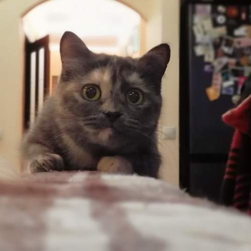 Photo #5701146
