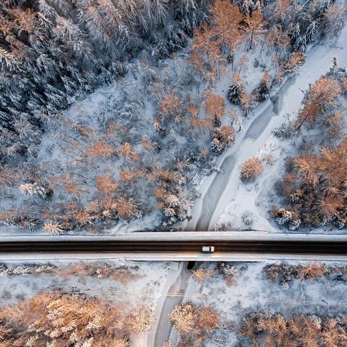 Frosty collars part II