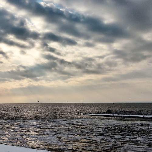 Photo #5701796