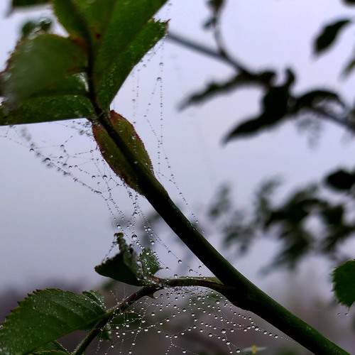 Photo #5701801