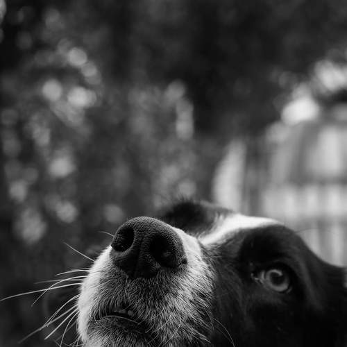 Photo #5701978