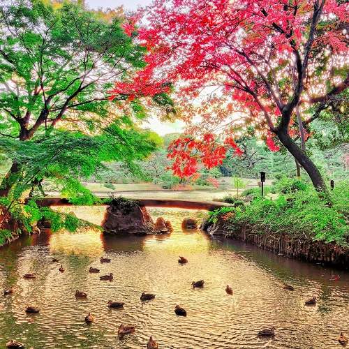 Stone bridge of the Edo period.