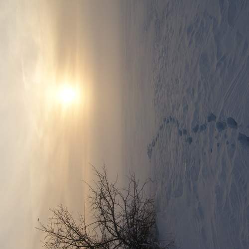 Photo #5702225
