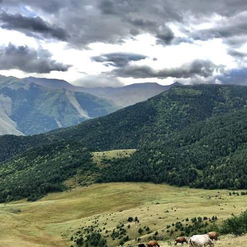 Photo #5702382