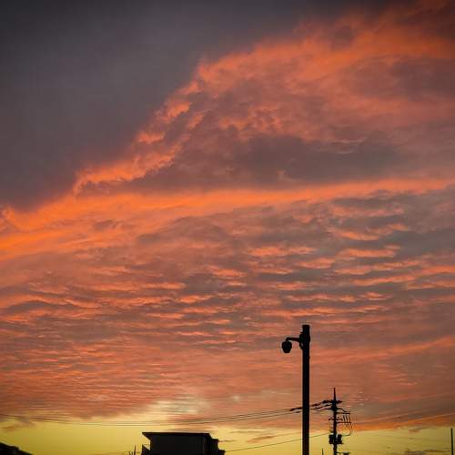 Photo #5702396
