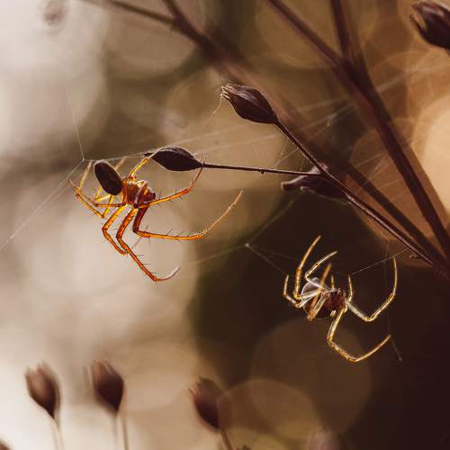 Photo #5702473