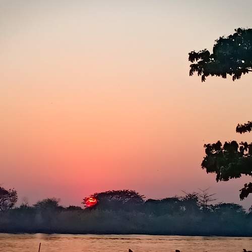 Photo #5702511