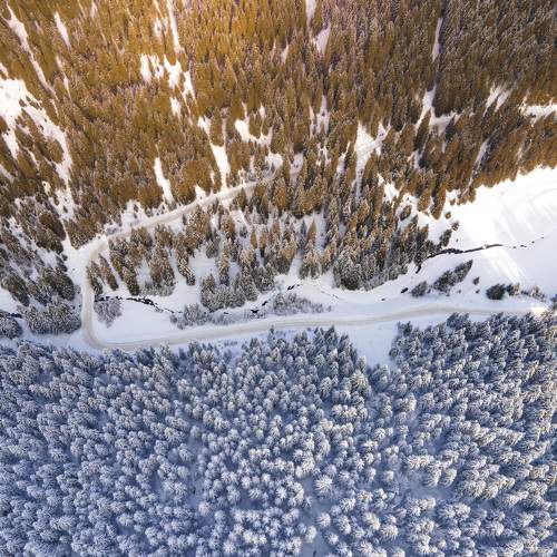 Photo #5702643