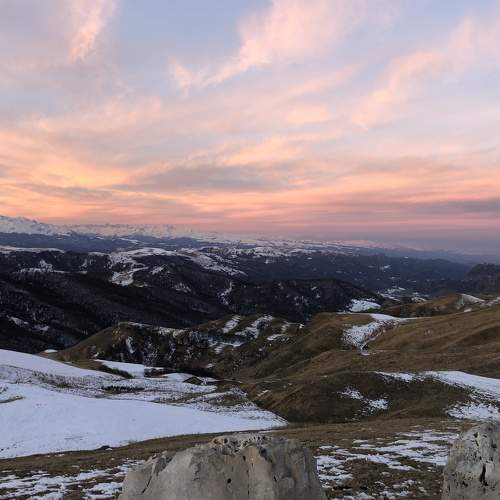 Photo #5702645
