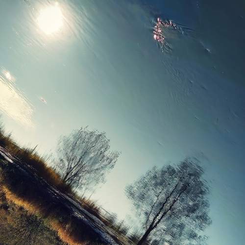 Photo #5702671