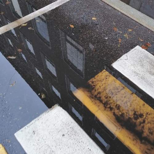 Photo #5702729