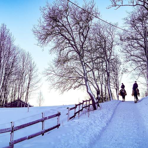 Photo #5703010