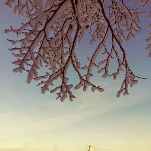 Photo #5703099