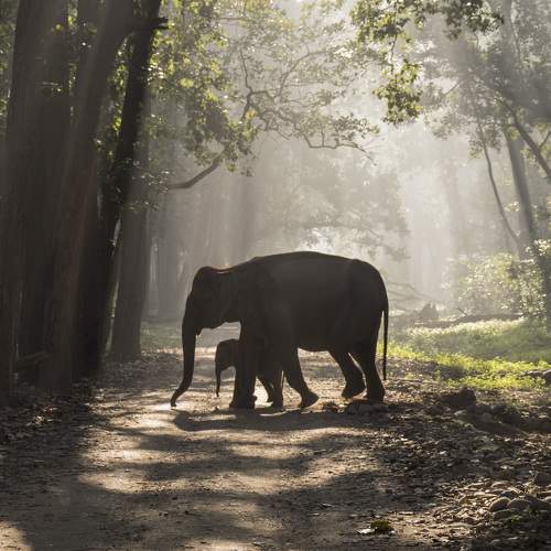 Photo #5703294