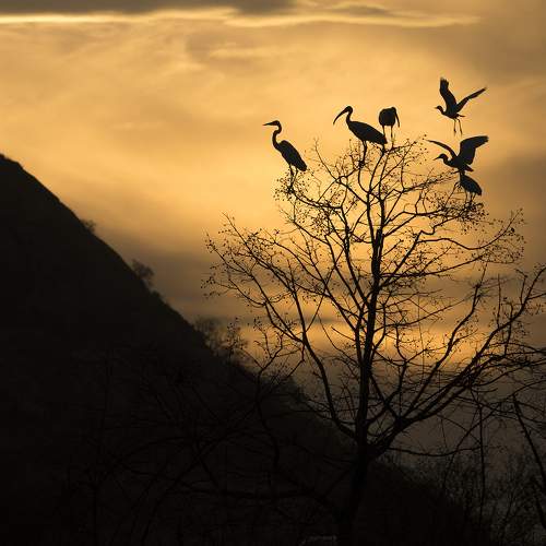 Photo #5703332