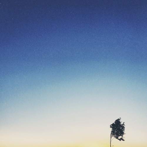 Photo #5703493