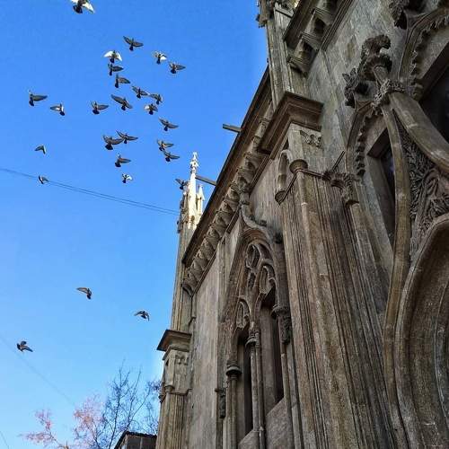 Photo #5704124
