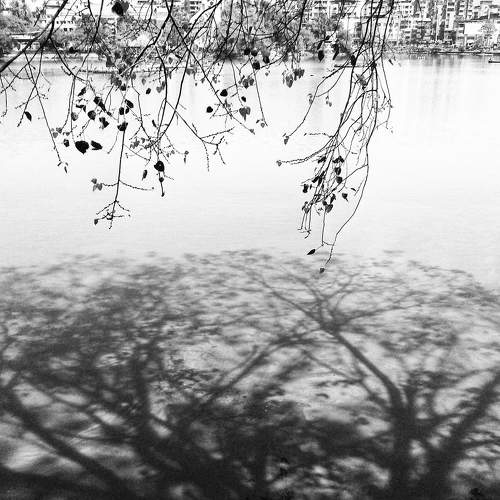Photo #5704183