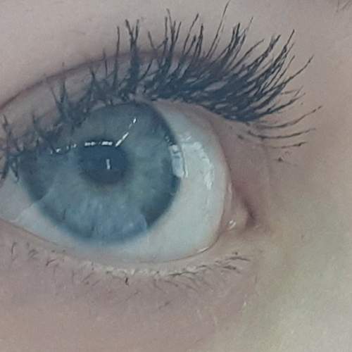 Photo #5704203
