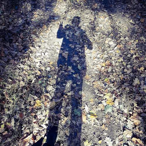 Photo #5704361