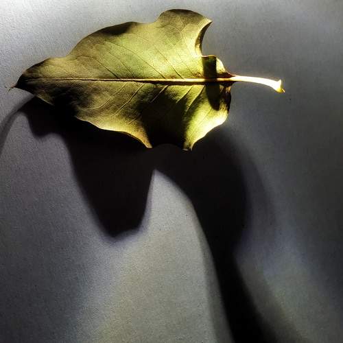 Photo #5704471