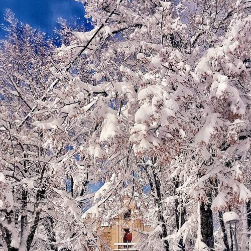 Photo #5704807