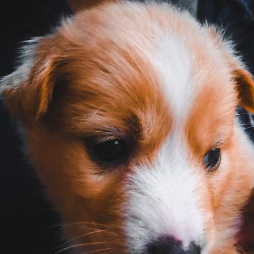 Photo #5705333
