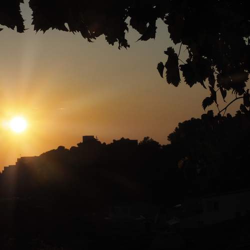 Photo #5705402