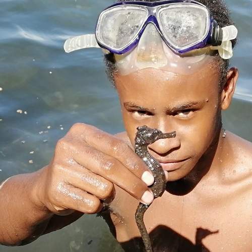 Samson and a seahorse