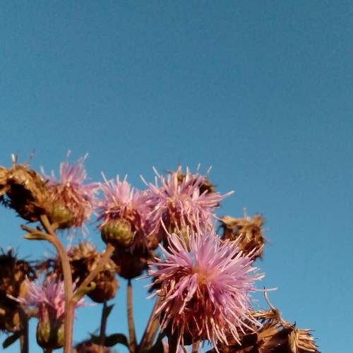 Photo #5705859