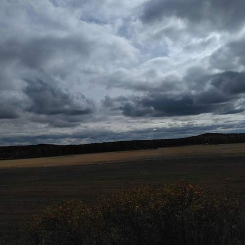 Photo #5705890