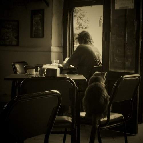 Photo #5706008