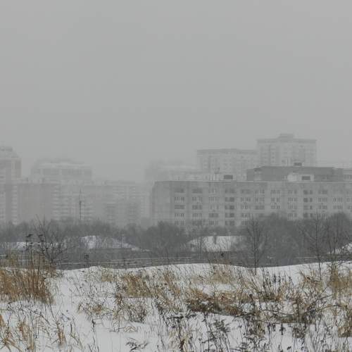 Photo #5706134