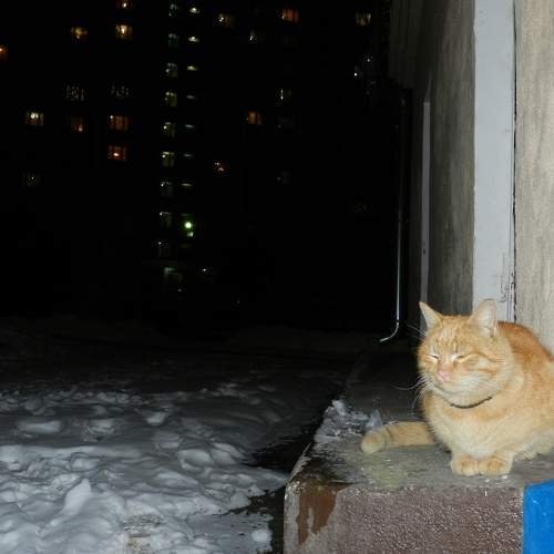 Photo #5706140