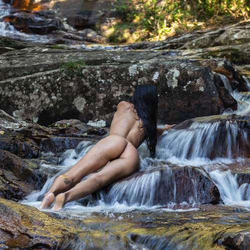 Photo #5706855