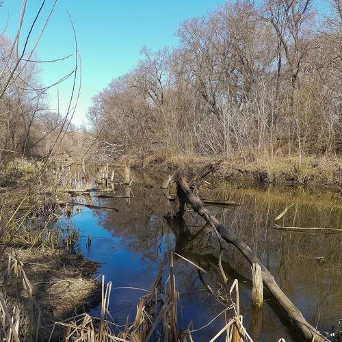 Photo #5706946